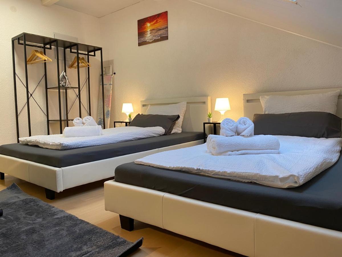 Deluxe Business Suite Mit Netflix Premium & Parkplatz, Zentral Zu Audi & Schwarz Gruppe With 2 Bedrooms Bad Friedrichshall Buitenkant foto